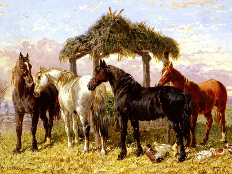 1795-John Frederick, Sr. Herring - Cavalli e anatre